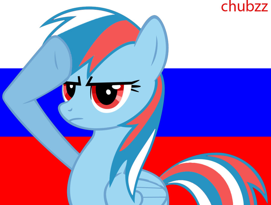 mlp fim russian rainbow dash salute by k