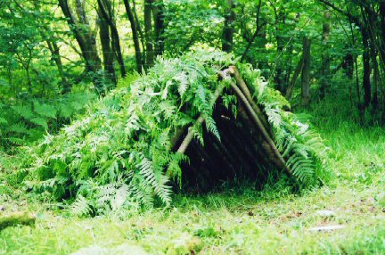 survival-shelter