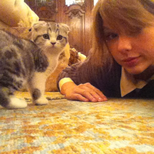 Bilder-Thread Taylor and Meredith