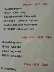 chinahund