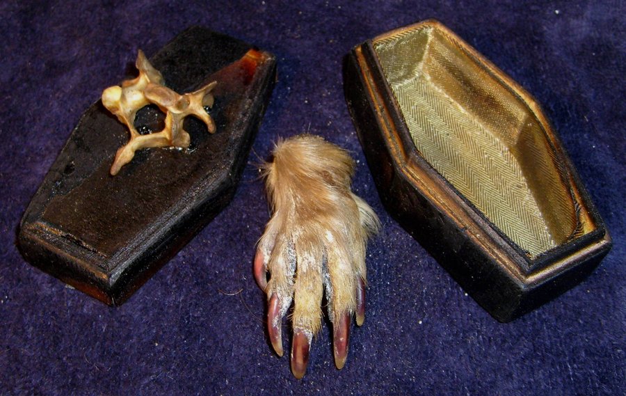 Mummified VooDoo Monkey Paw by DETHCHEEZ