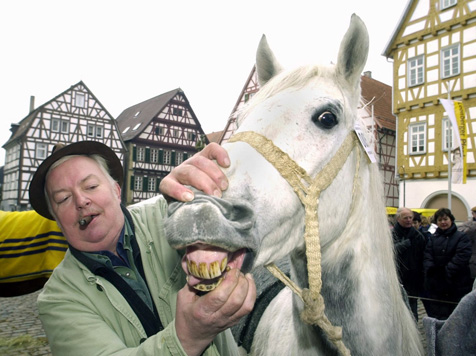 Einem geschenkten Gaul schaut man nicht 