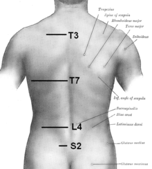 220px-Orientation