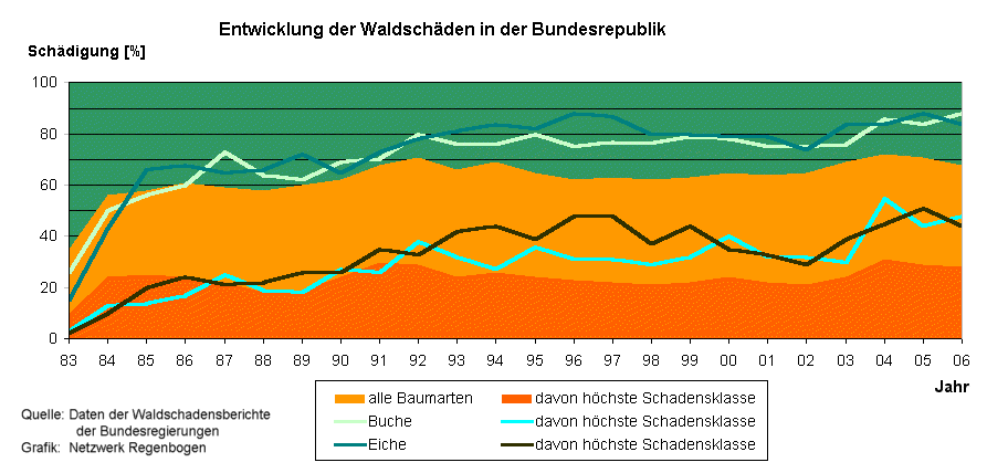 Waldschaeden06