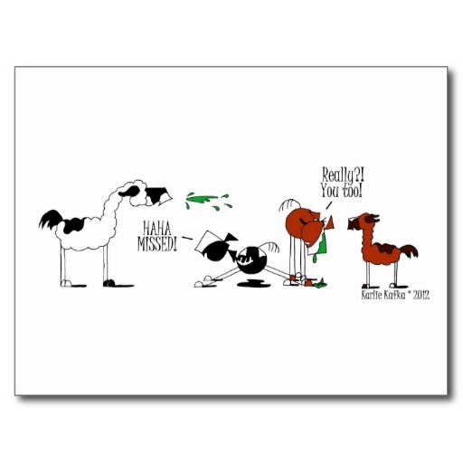 lustige pferde u lama cartoon postkarte 