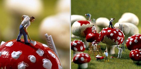 Bilder-Thread t2ehX1B 28f08e8dff47ee44d4e6a4f1970d70eba968a73a