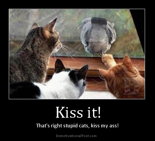 Bilder-Thread kiss-it