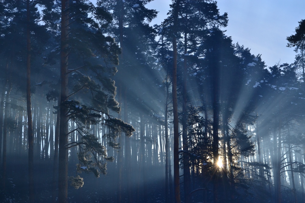 Bilder-Thread nebelmorgen-1d86b024-73d2-4b32-b277-9891