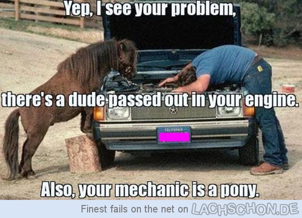 Bilder-Thread 106777 your mechanic is a pony