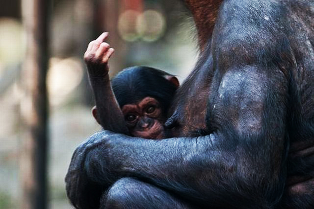 Bilder-Thread elite-daily-nature-fail-2