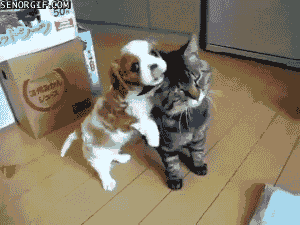 funny-gifs-nourishment-for-this-puppy