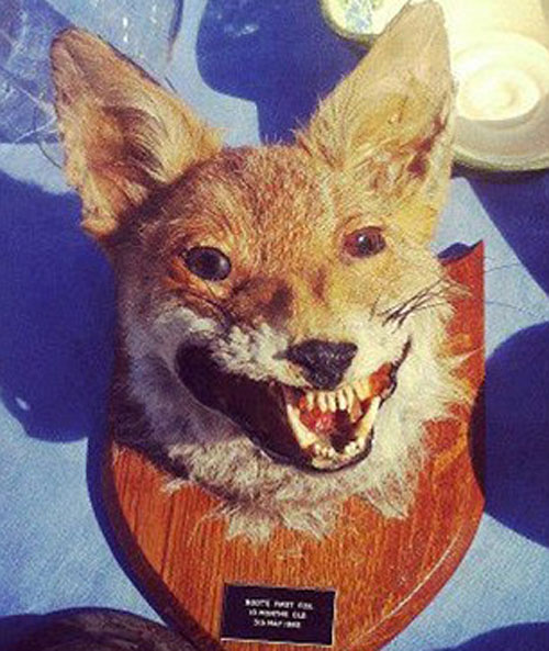 Bilder-Thread freakfox