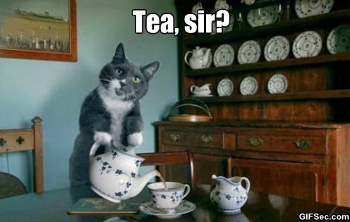 Bilder-Thread MEME-Would-You-Like-Some-Tea
