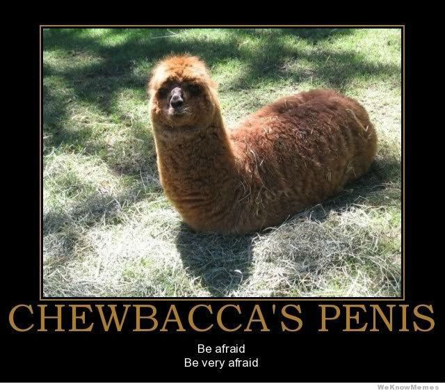 Bilder-Thread chewbaccas-penis