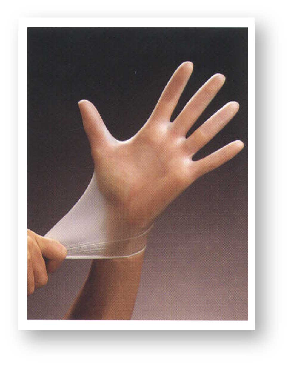 vinyl glove b