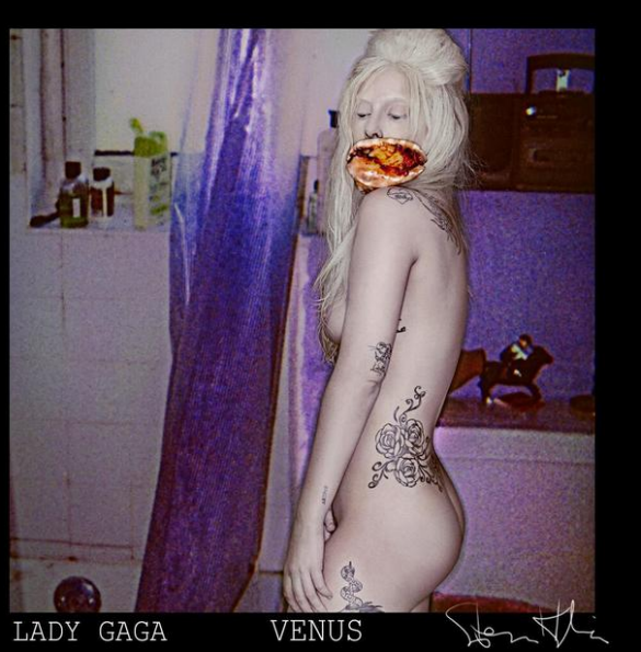 Bilder-Thread Gaga325