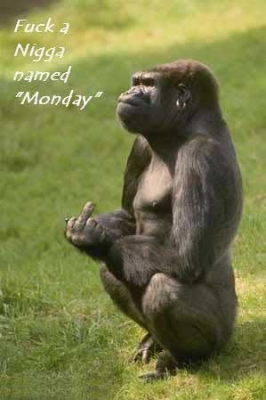 Bilder-Thread 60c44e i hate Monday 5 39480014d