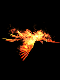 29795 flying burning bird wallpaper