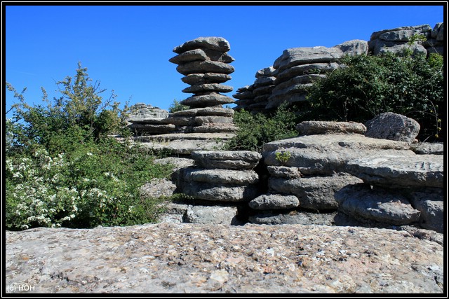 El Torcal de Antequera 20 2810 29