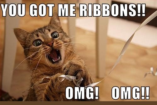 Bilder-Thread Random 252520Funny 252520Photos 252520Pa