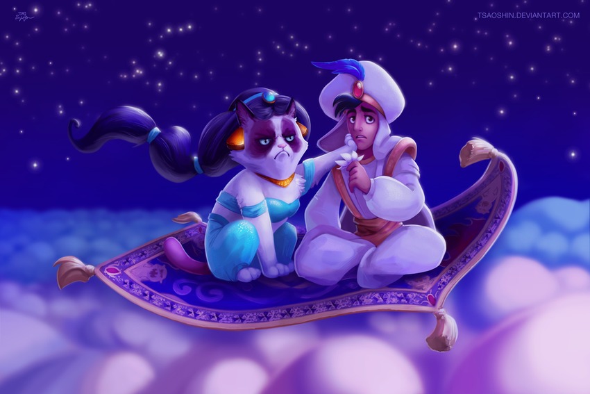 a-whole-new-no-grumpy-cat-aladdin