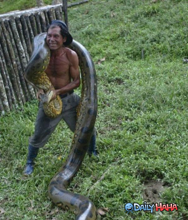 thats-a-big-snake