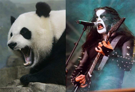 Bilder-Thread Black metal reality