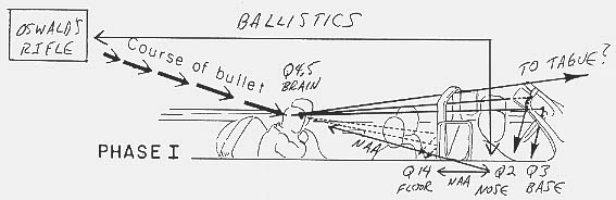 NAA ballistics head shot