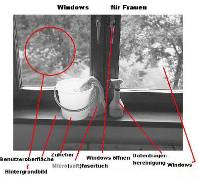 windowsfrfraueneg31c