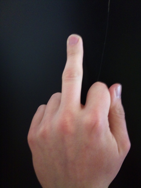 mittelfinger f  r nazis 1
