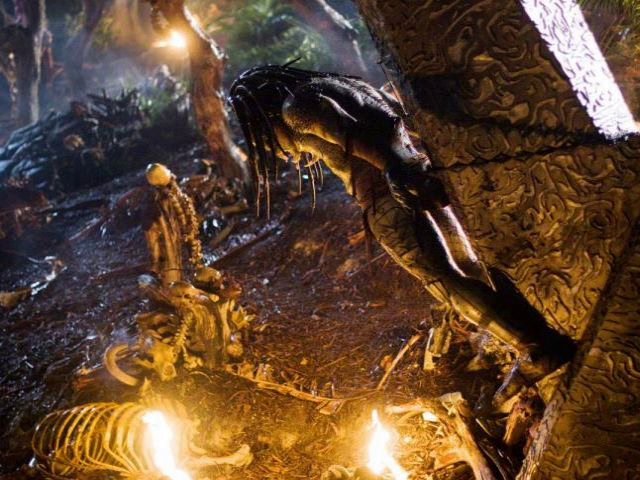 Bilder-Thread eGdjc21tMTI3D o predators-2010-watch-ful