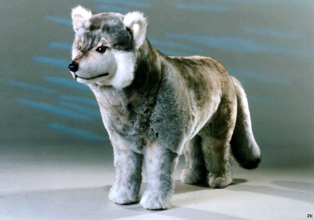 snwolf08