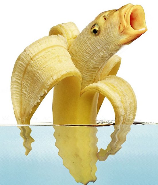 Bilder-Thread 58d19d banane