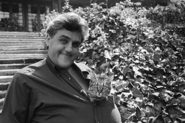Bilder-Thread celebrities and cats 04