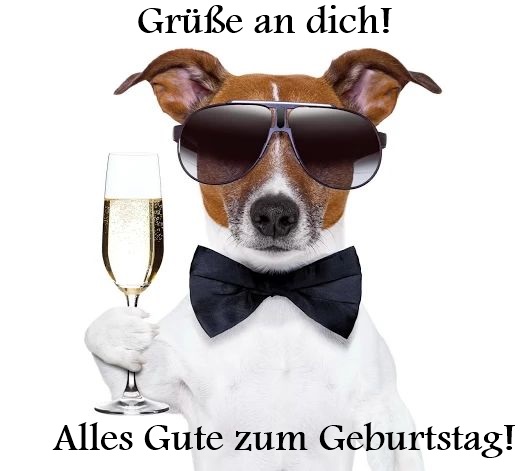 geburtstagsspruch-lustig