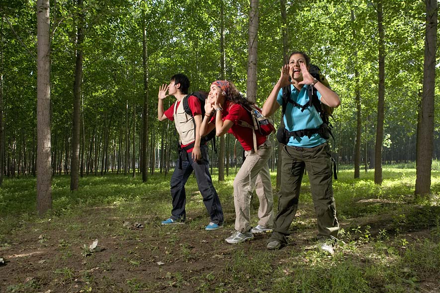 Bilder-Thread wald-gross