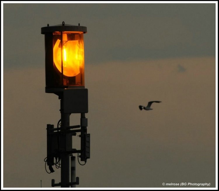 sturm-licht-bodensee-sturmwarnung-am-bod