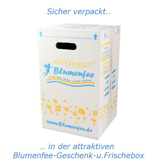 geschenkbox hinweis 10 12 02 kom 20 1 2 