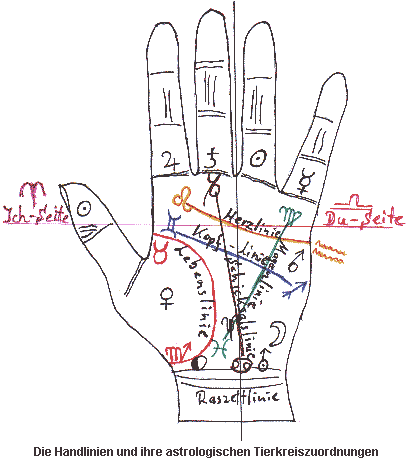 handlinien chirologie