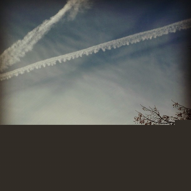 af4aea6484e411e2a64d22000a9f1590 7