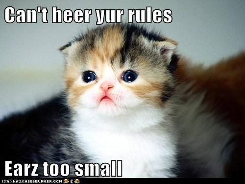 Bilder-Thread t3Q5y0e funny-pictures-cant-heer-yur-rules-earz-