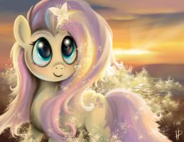 shining fluttershy by rom art d56q9be.pn