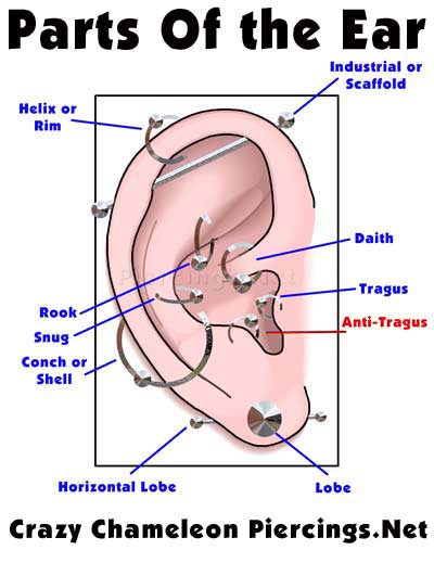 earparts002antitragus