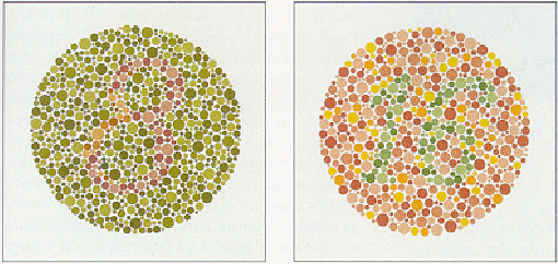 t2d81cb Farbe