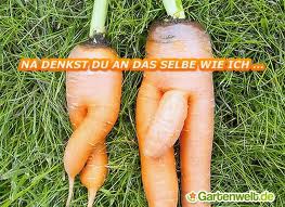 Bilder-Thread 52680a moehre