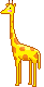 giraffe36