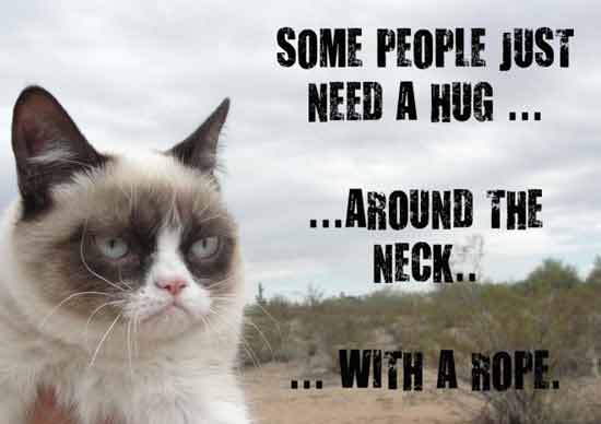 grumpy-cat-summarise