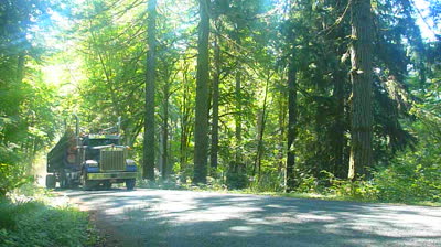 stock-footage-logging-truck-drives-with-