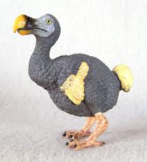 s4j9MC dodo