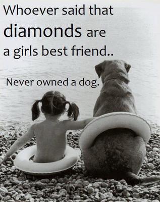 Bilder-Thread dogs-are-girls-best-friend.jpeg